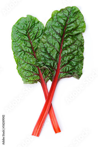 Photo: Swiss chard Swiss chard