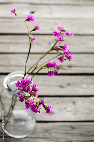 Photo: purple flowers in glass bottles purple flowers in glass bottles