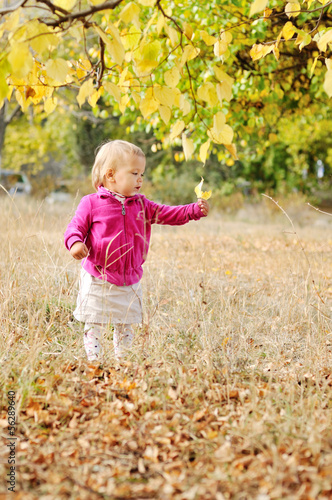 Photo: baby in fall baby in fall