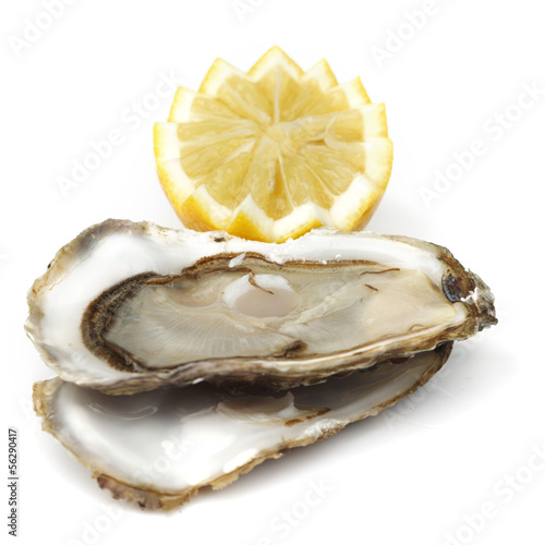 Photo: Oyster and lemon on white Oyster and lemon on white