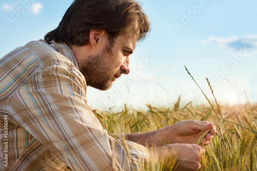 Photo: Farmer control his wheat cultivation field Farmer control his wheat cultivation field