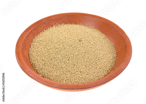 Photo: A small portion of organic active dry yeast in a small dish A small portion of organic active dry yeast in a small dish