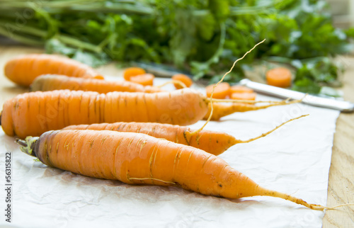 Photo: Carrots Carrots