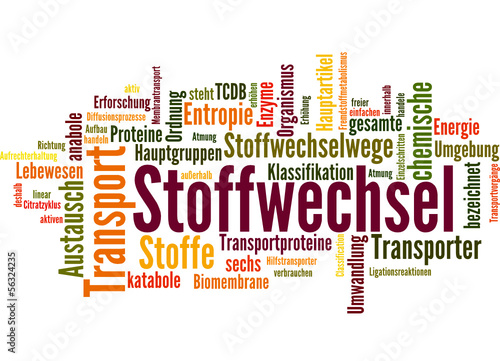 Vector: Stoffwechsel (Stoffwechseldiät, Ernährung) Stoffwechsel (Stoffwechseldiät, Ernährung)