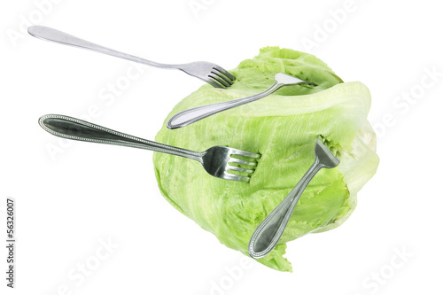 Photo: Iceberg Lettuce with Forks Iceberg Lettuce with Forks
