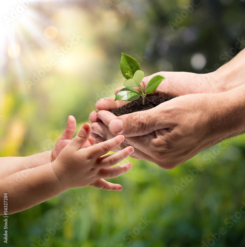 Photo: hands of a child taking a plant from the hands of a man - garden hands of a child taking a plant from the hands of a man - garden