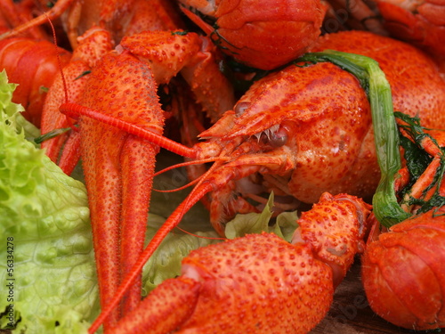 Photo: Fresh crawfish Fresh crawfish