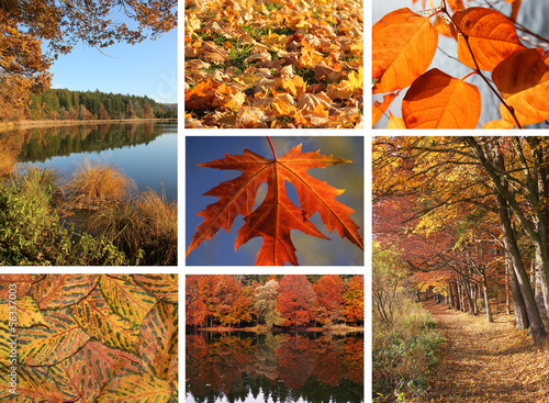 Photo: Herbstliche Collage Herbstliche Collage