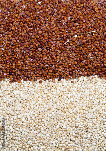 Photo: red and white quinoa red and white quinoa