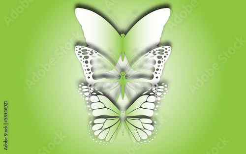 Vector: Butterfly Decomposed. Butterfly Decomposed.