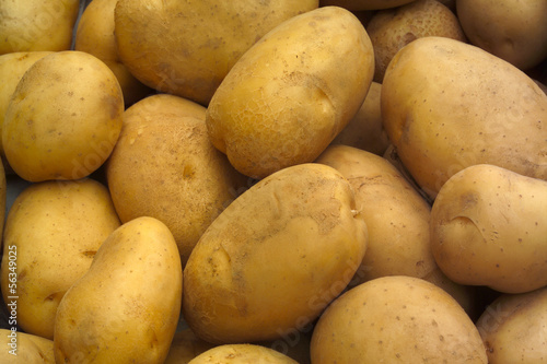 Photo: potato potato