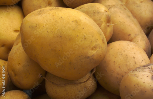 Photo: potato potato