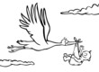 Black and white stork delivering a baby. Black and white stork delivering a baby.