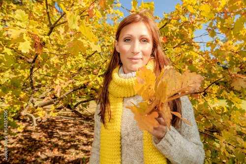 Photo: autumn fall season autumn fall season