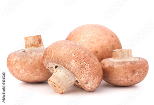 Photo: Brown champignon mushroom group Brown champignon mushroom group