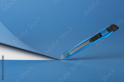 Photo: Cutter Cutter