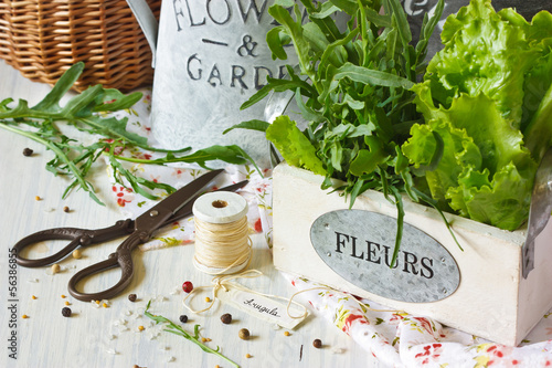 Photo: Herbs and spices. Herbs and spices.