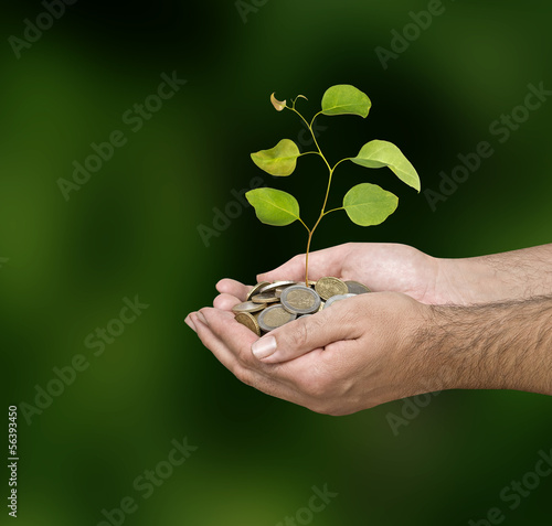 Photo: Investing to green business Investing to green business
