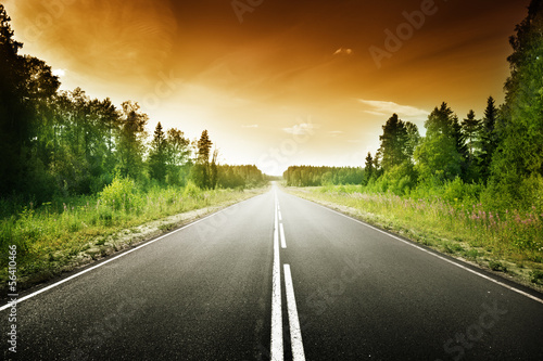 Photo: road in deep forest road in deep forest