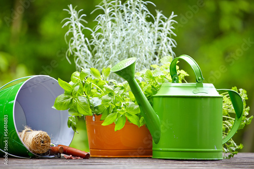 Photo: Outdoor gardening tools Outdoor gardening tools