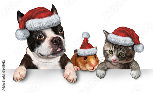 Illustration: Christmas Pet sign Christmas Pet sign