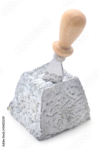 Photo: Goat's Cheese Goat's Cheese