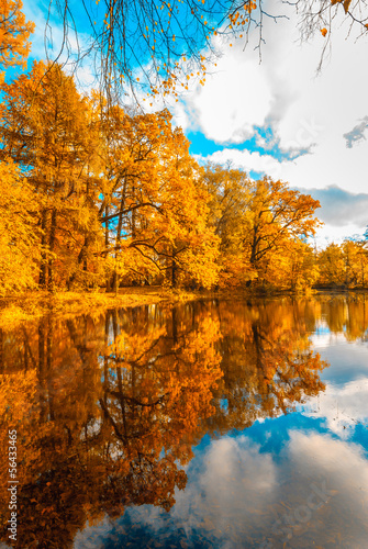 Photo: autunm trees autunm trees