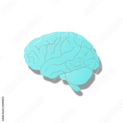 Vector: Brain Hirn Intelligenz Anatomie denken Mensch Brain Hirn Intelligenz Anatomie denken Mensch