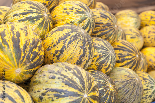 Photo: Wassermelonen Wassermelonen