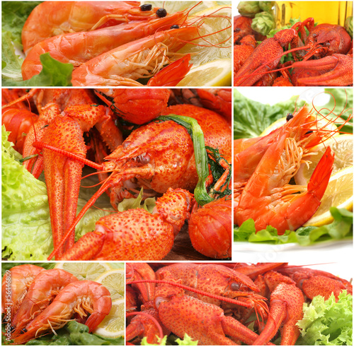 Photo: Fresh crawfish and shrimps Fresh crawfish and shrimps
