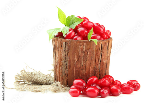 Photo: Fresh cornel berries in wooden vase, isolated on white Fresh cornel berries in wooden vase, isolated on white