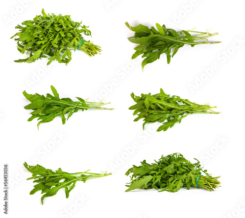 Photo: set of Arugula/rucola fresh heap leaf on white set of Arugula/rucola fresh heap leaf on white