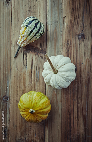 Photo: Still life with pumpkins. Autumn arrangement Still life with pumpkins. Autumn arrangement
