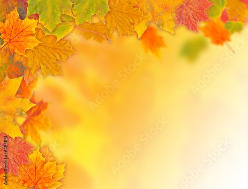Photo: Herbstlicher Hintergrund Herbstlicher Hintergrund