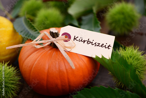 Photo: Kürbiszeit Kürbiszeit