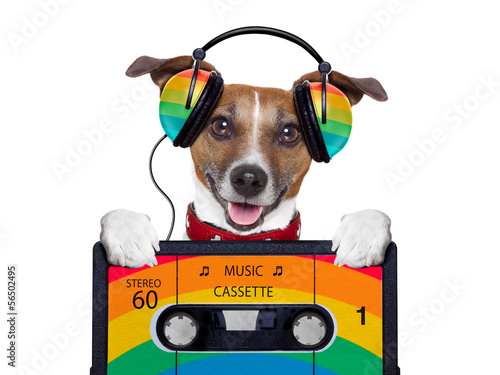 Photo: music dog music dog