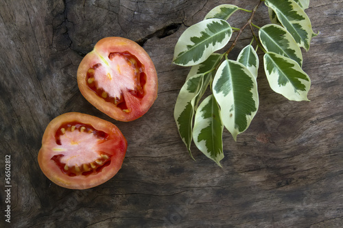 Photo: Slided Red Tomato Slided Red Tomato