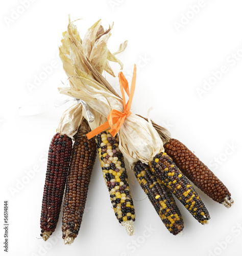 Photo: Indian Corn Indian Corn