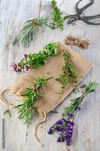 Photo: Herbs Herbs