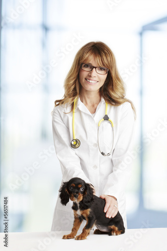 Photo: Veterinarian doctor and spaniel puppy Veterinarian doctor and spaniel puppy