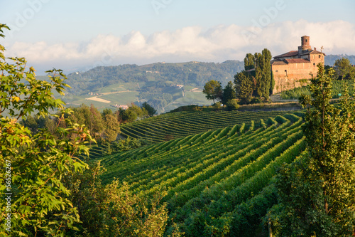Photo: Le Langhe piemontesi nei pressi di Barolo Le Langhe piemontesi nei pressi di Barolo