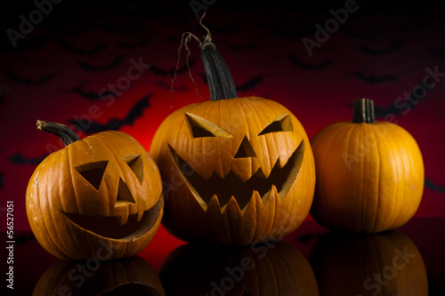 Photo: Halloween pumpkins in the Grass Bats Halloween pumpkins in the Grass Bats