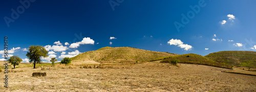 Photo: Sardegna, Trexenta, panorama di campagna Sardegna, Trexenta, panorama di campagna