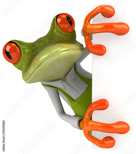 Illustration: Frog gardener Frog gardener