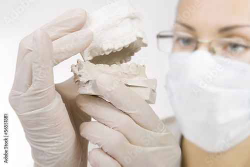 Photo: dentist holding denture model, correction of bite dentist holding denture model, correction of bite