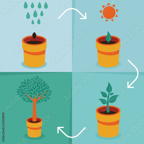 Vector: Vector growth concept Vector growth concept