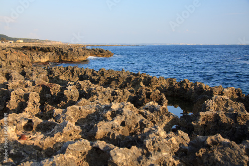 Photo: scogliera a Torre Inserraglio - Salento scogliera a Torre Inserraglio - Salento