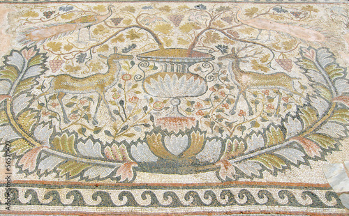 mosaic of Heraclea Lyncestis archaeological excavations in Bitola, Republic of Macedonia