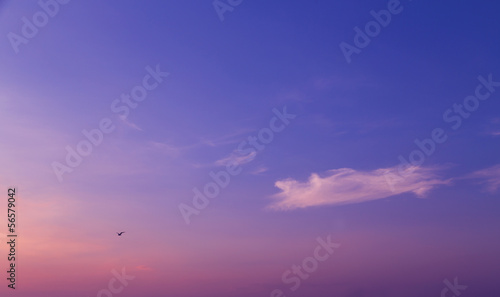Photo: sky sky