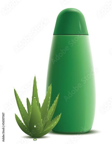 Vector: Aloe Vera Shampoo Aloe Vera Shampoo